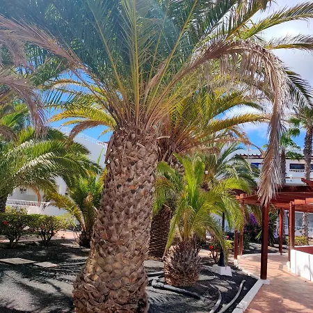 Flor De Cactus 公寓