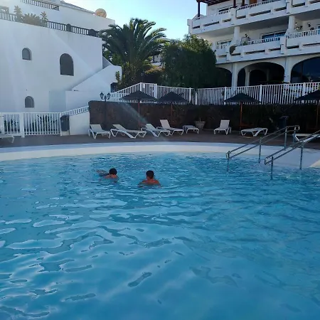 Flor De Cactus 科斯塔特吉塞