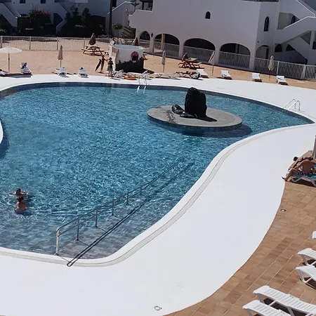 Flor De Cactus 科斯塔特吉塞