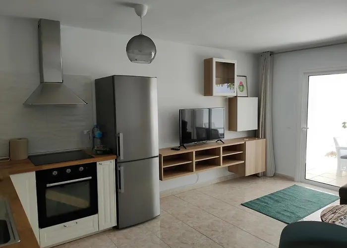 Flor De Cactus * 科斯塔特吉塞