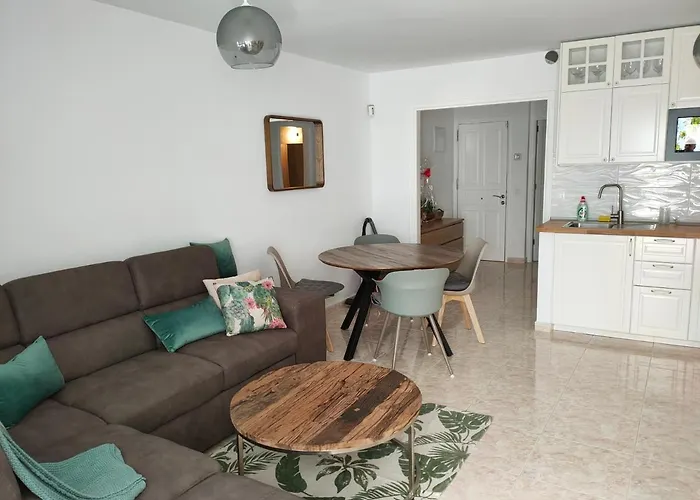 Flor De Cactus * 科斯塔特吉塞