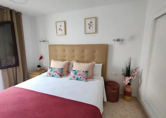 Flor De Cactus 公寓 科斯塔特吉塞