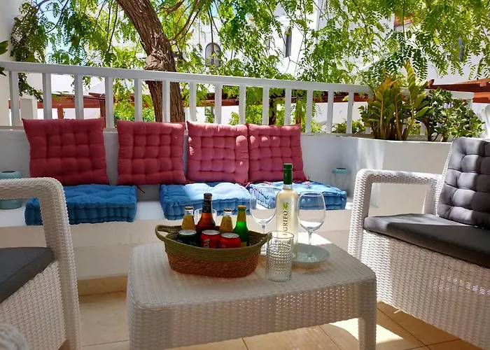 Flor De Cactus * 科斯塔特吉塞