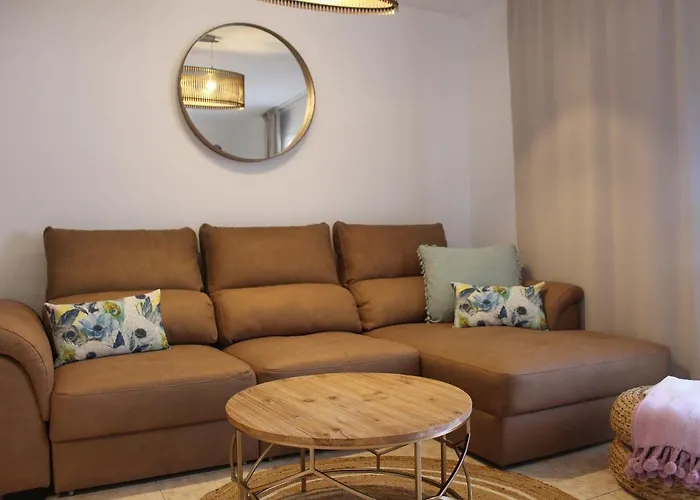 Flor De Cactus * 科斯塔特吉塞