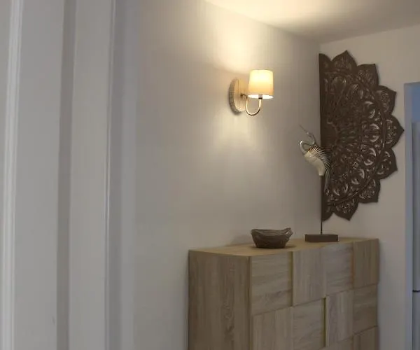 Flor De Cactus 科斯塔特吉塞