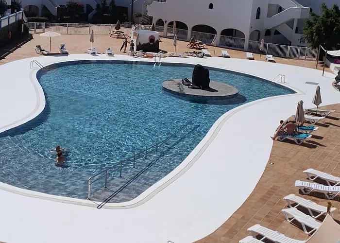 Flor De Cactus 科斯塔特吉塞