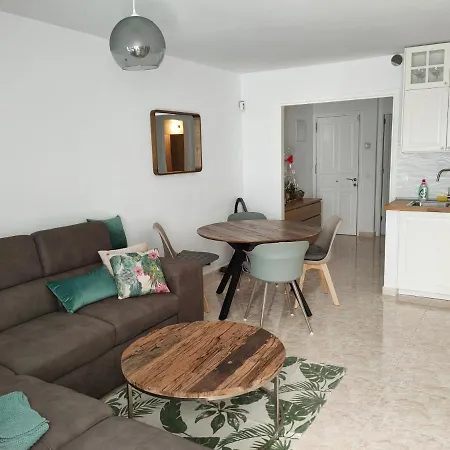 Flor De Cactus * كوستا تاغيسي