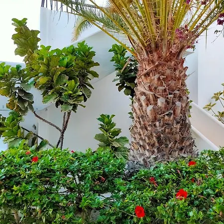 Flor De Cactus شقة *