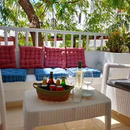 Flor De Cactus * كوستا تاغيسي