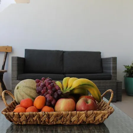 Flor De Cactus * Costa Teguise