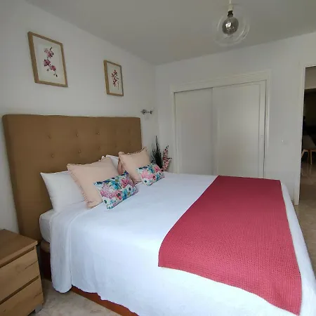 Flor De Cactus Апартаменты Коста-Тегисе